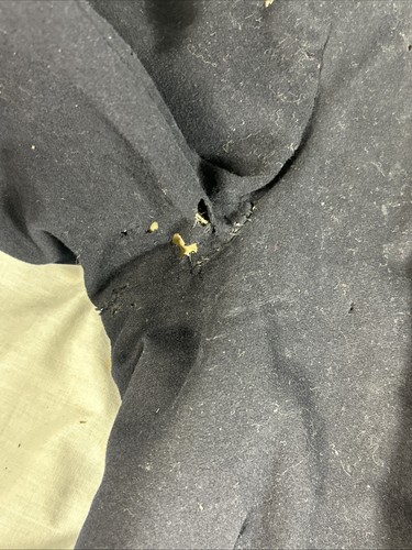 NEW YORK STATE MILITIA CIVIL WAR OFFICER'S TUNIC by DEVLIN & SCOVILL BUTTONS - Picture 12 of 17