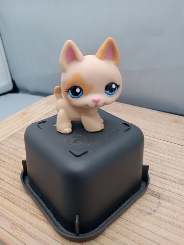 Littlest Pet Shop LPS #1447 Perro Cachorro Pastor Alemán Bronceado Auténtico Hasbro
