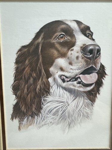 English Springer Spaniel Hund doppelt mattiert braun Rahmen 9,5" x 11,5" Roger Crowys - Bild 3 von 5