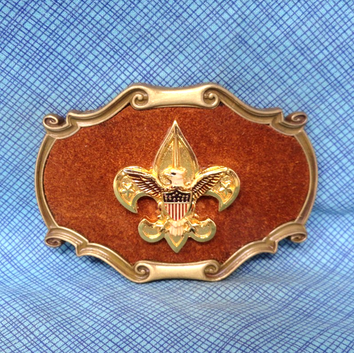 BSA Pfadfinder Emblem Gürtelschnalle Wildleder Ledereinlage Vintage 1978 Raintree .GMP691 - Bild 2 von 12