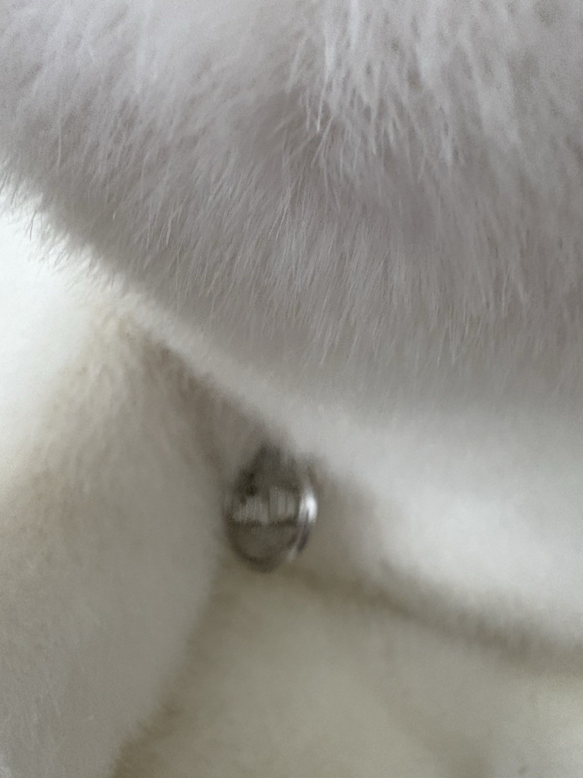Picture 3 of 10