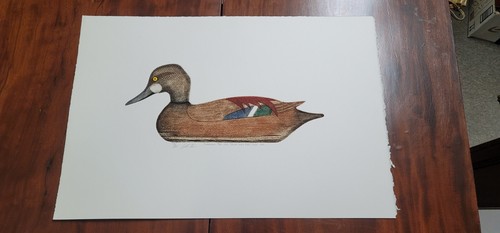 Arthur Nevin Signed "Cinnamon Teal Hen Decoy" 48/150 Etching - Picture 1 of 7