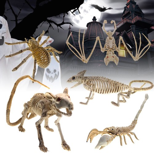 Halloween Decoration Animal Skeleton Bone Props Party Creepy Spider Bat Mouse XF | eBay Halloween Decoration Animal Skeleton Bone Props Party Creepy Spider Bat Mouse XF | eBay