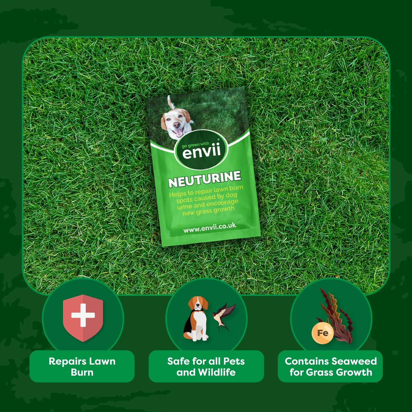 Envii Neuturine Dog Urine Neutraliser Grass Pee Repair & Stops Lawn Burn 700461539032 eBay