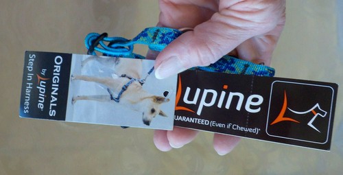 Lupine 1/2" Step-In Harness 10" -13" NWT TURTLE REEF Multicolor Nylon Guarantee - Picture 8 of 12