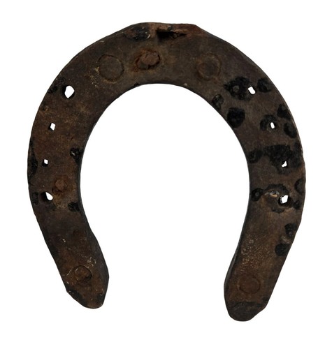 Horseshoe Metal Hat Hanger, Tool Holder Workhorse size shoe With Rustic Western - Picture 5 of 6