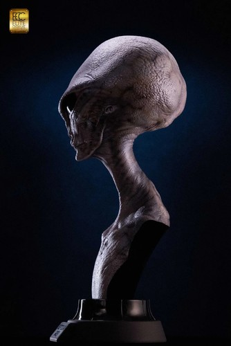 Reptilian Grey Life Size Bust 1:1 Art of Steve Wang ELITE CREATURE COLLECTIBLES - Imagen 7 de 8