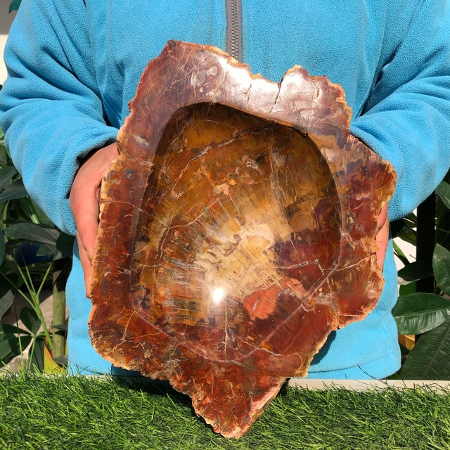 9.99LB Natural wood fossil quartz crystal ashtray mineral specimens healing 9.99LB Natural wood fossil quartz crystal ashtray mineral specimens healing