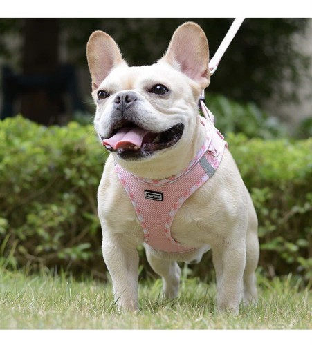 Mercano Soft Mesh Dog Harness and Leash Set No-Chock Step-in Reflective Sz Large - Picture 4 of 24