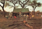 Khwai River Lodge Botswana Africa Vintage Postcard