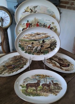 Set 6 alte ovale Teller Falconware 31 cm x 24 cm