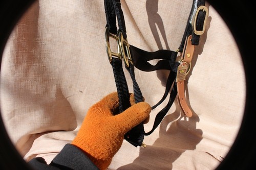 5 pack - NWT BMB horse size breakaway safety halter with brass hardware BLACK - Picture 6 of 6