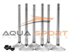 STD 31mm 1 Groove Inconel Exhaust Valves Sea-Doo 4TEC RXP-X RXT-X 250 255 260