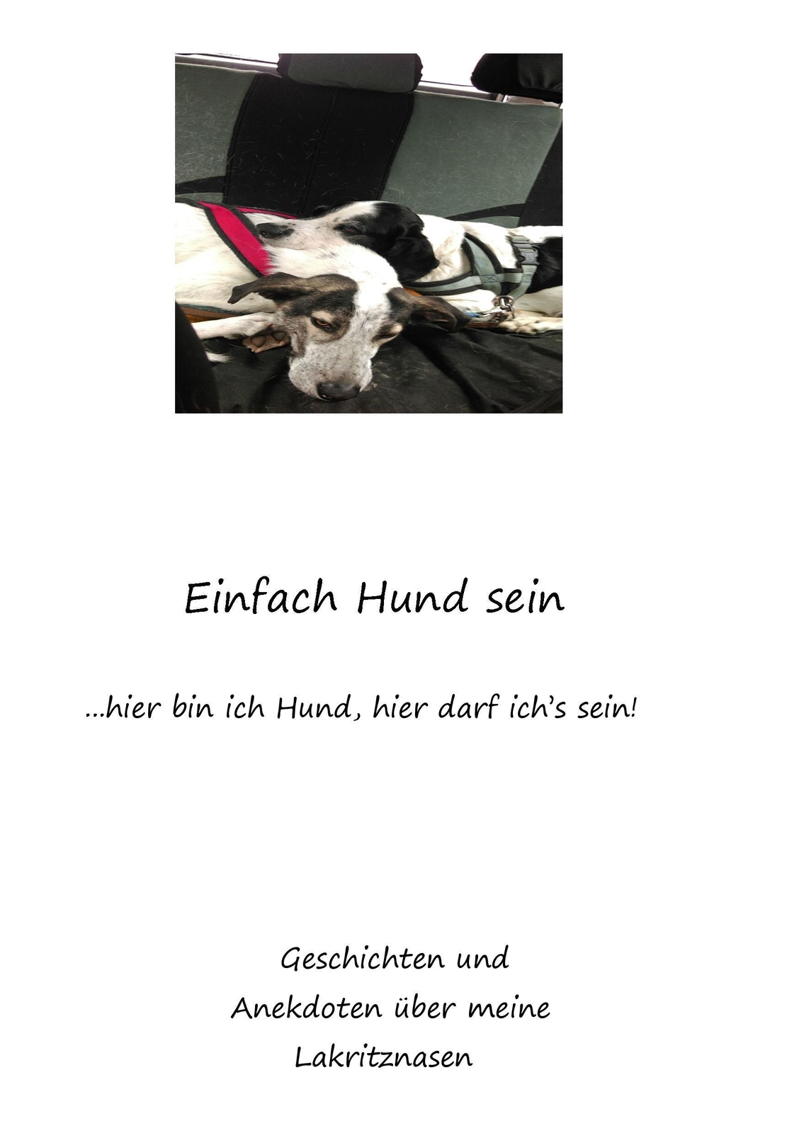 Thumbnail - Sandra Terzenbach | Einfach Hund Sein | Taschenbuch | Deutsch (2016) |
