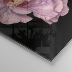Foto 4 di 10