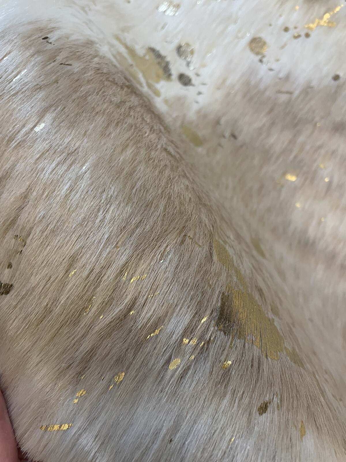 Picture 4 of 5