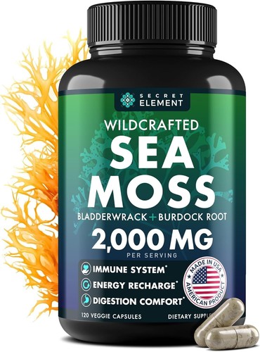 Meeresmoos Kapseln - Irish Sea Moss Advanced mit Klettenwurzel, Blasentang &...