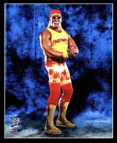 FOTO DE LUCHA LIBRE 8X10 CON LICENCIA OFICIAL WWE HULK HOGAN ARCHIVO DE FOTO ORIGINAL 1