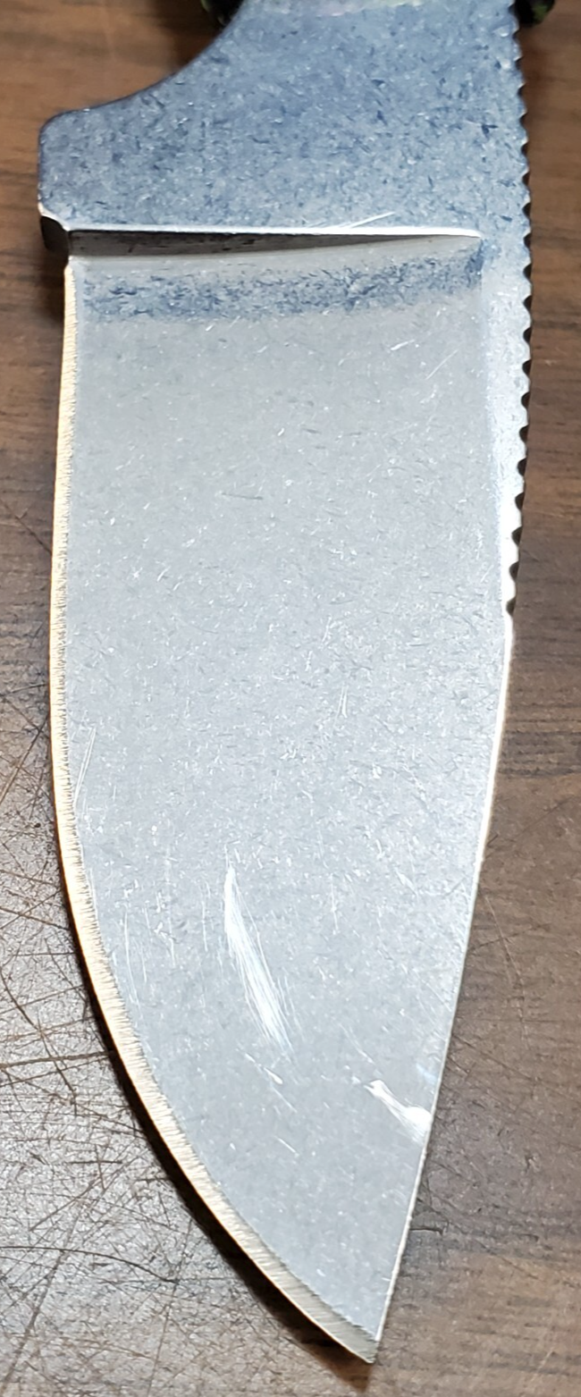 Picture 8 of 15