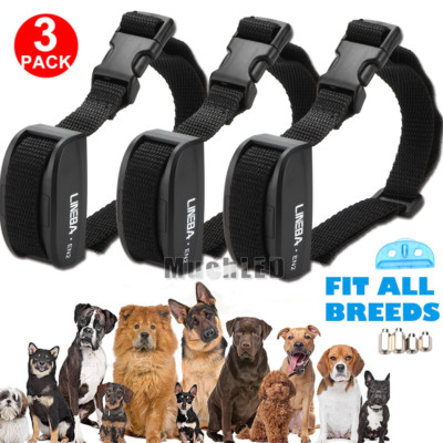 dog trainer stop barking