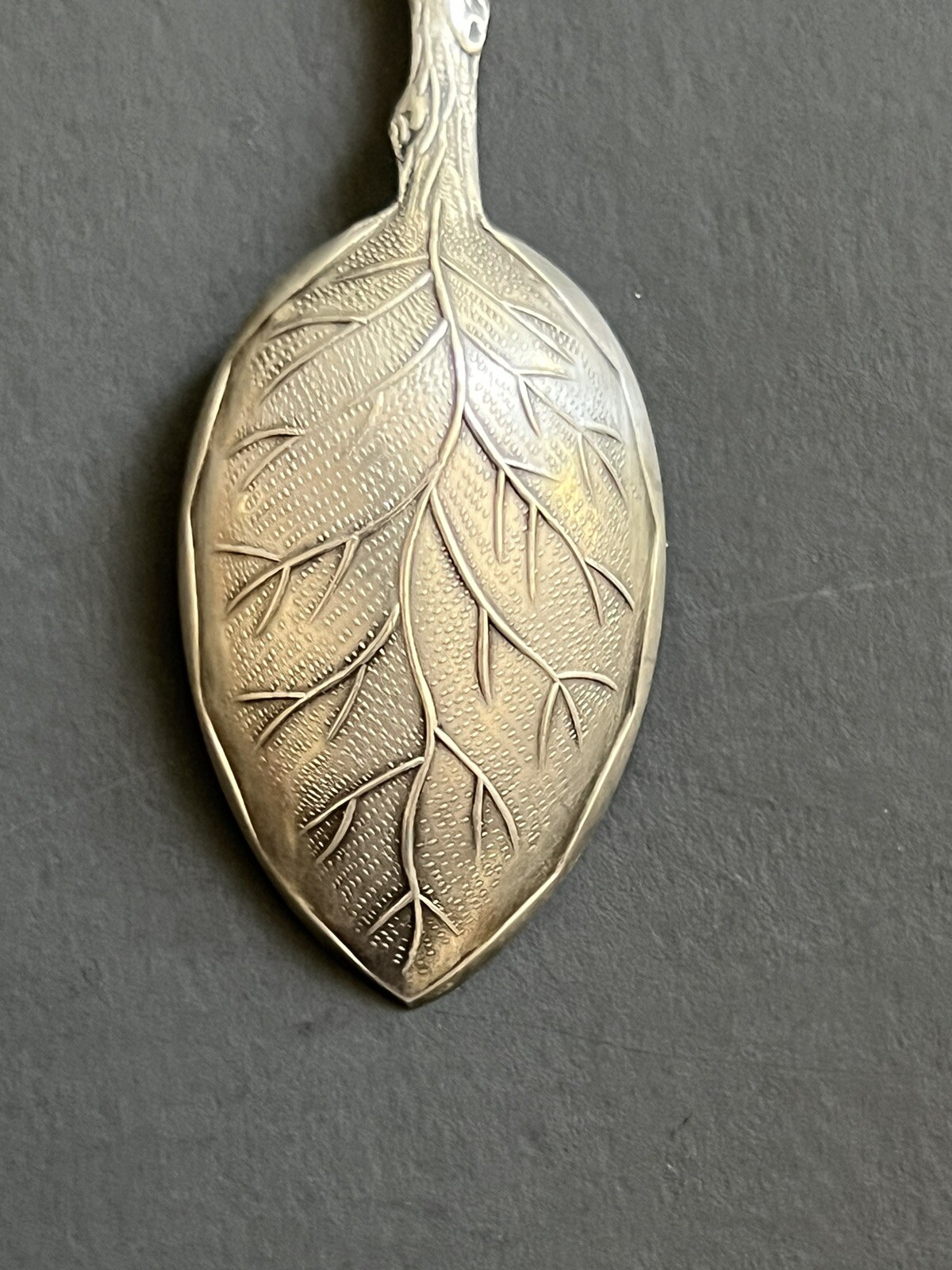Picture 6 of 10