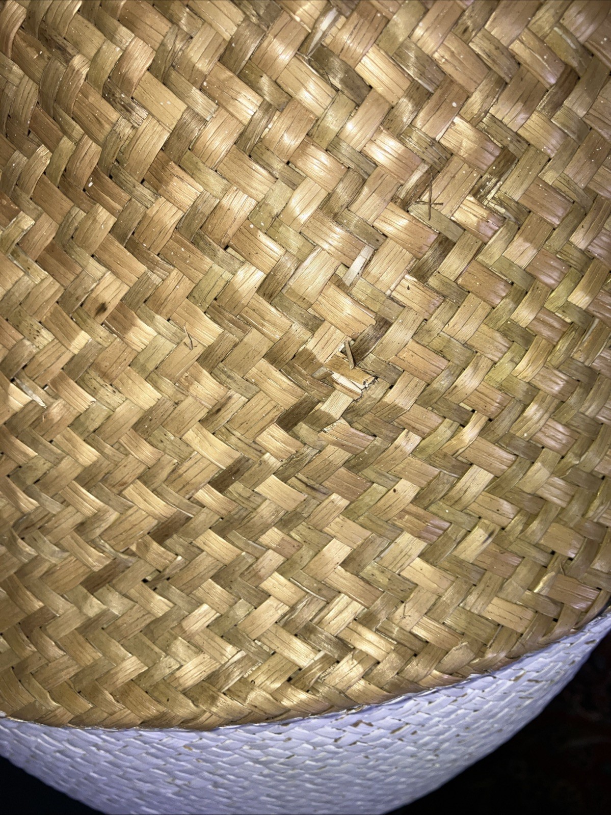 Picture 2 of 6