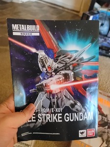 Metal Build Aile Striker | eBay