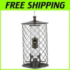 Clear Plastic Bird Feeder with Perches & Squirrel Proof Feature – Birds Love It!