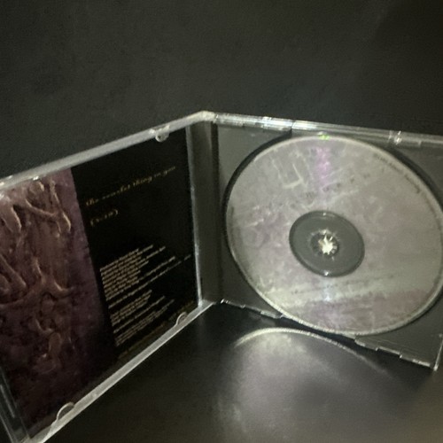 Peter Murphy – The Scarlet Thing In You 1995 Promotional CD Single - Bild 2 von 6