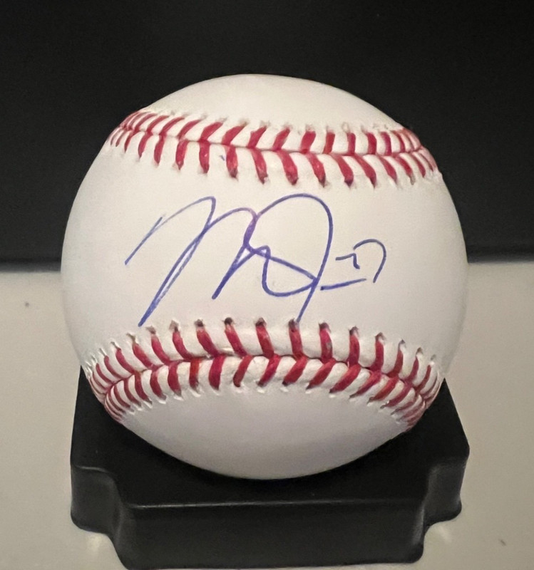 MIKE TROUT Autographed Official MLB Manfred Baseball PSA/DNA COA "AE30855"