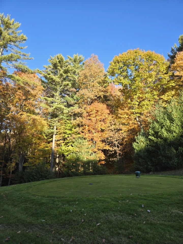 LOTE À VENDA! CAMPO DE GOLFE FECHADO COMUNIDADE GLADE SPRINGS RESORT, WV LAND - Imagem 3 de 4