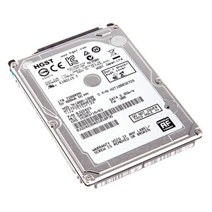 hgst 7k1000
