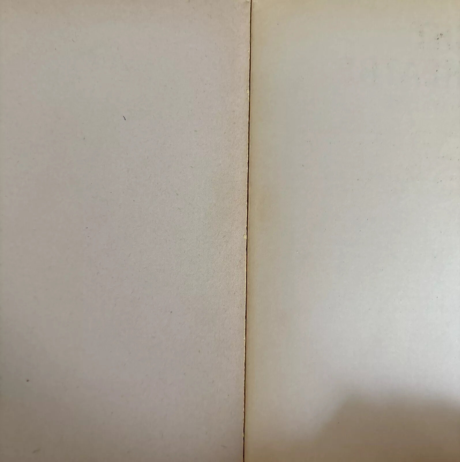 Picture 14 of 16