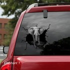 LARGE-SIZED CAR DECALS - ELEPHANT - 4 CHOICES