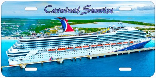 Placa de matrícula de coche novedad personalizada de crucero de carnaval con cualquier nombre - Imagen 58 de 63
