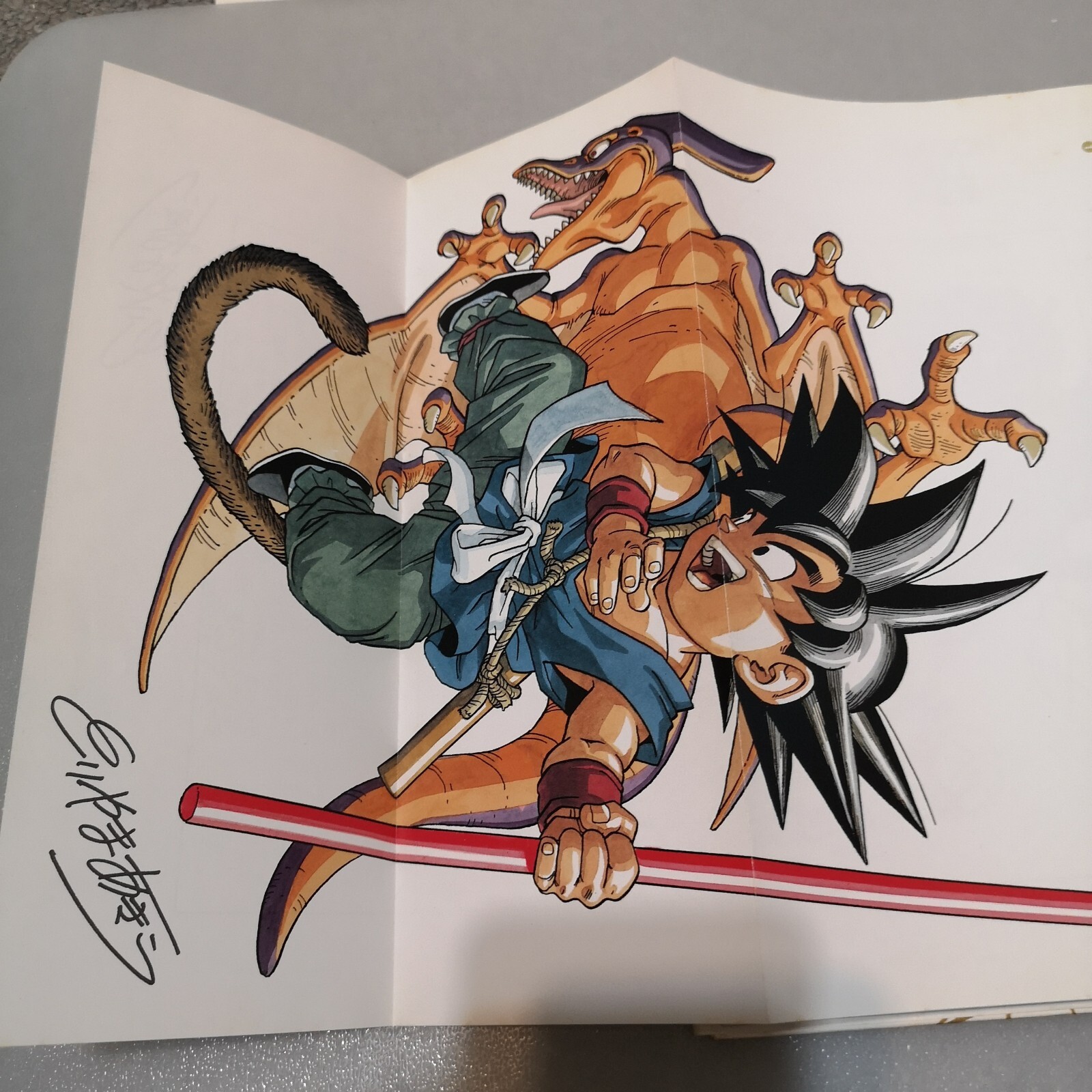 Picture 3 of 17
