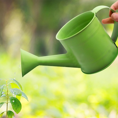 Small Water can Planter with hang Tag 4 assorted Colours - Picture 12 of 12