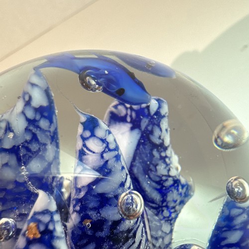 Art Glass Controlled Bubbles Heavy Dolphins Fish Reef Sea Life Paperweight - Picture 15 of 16