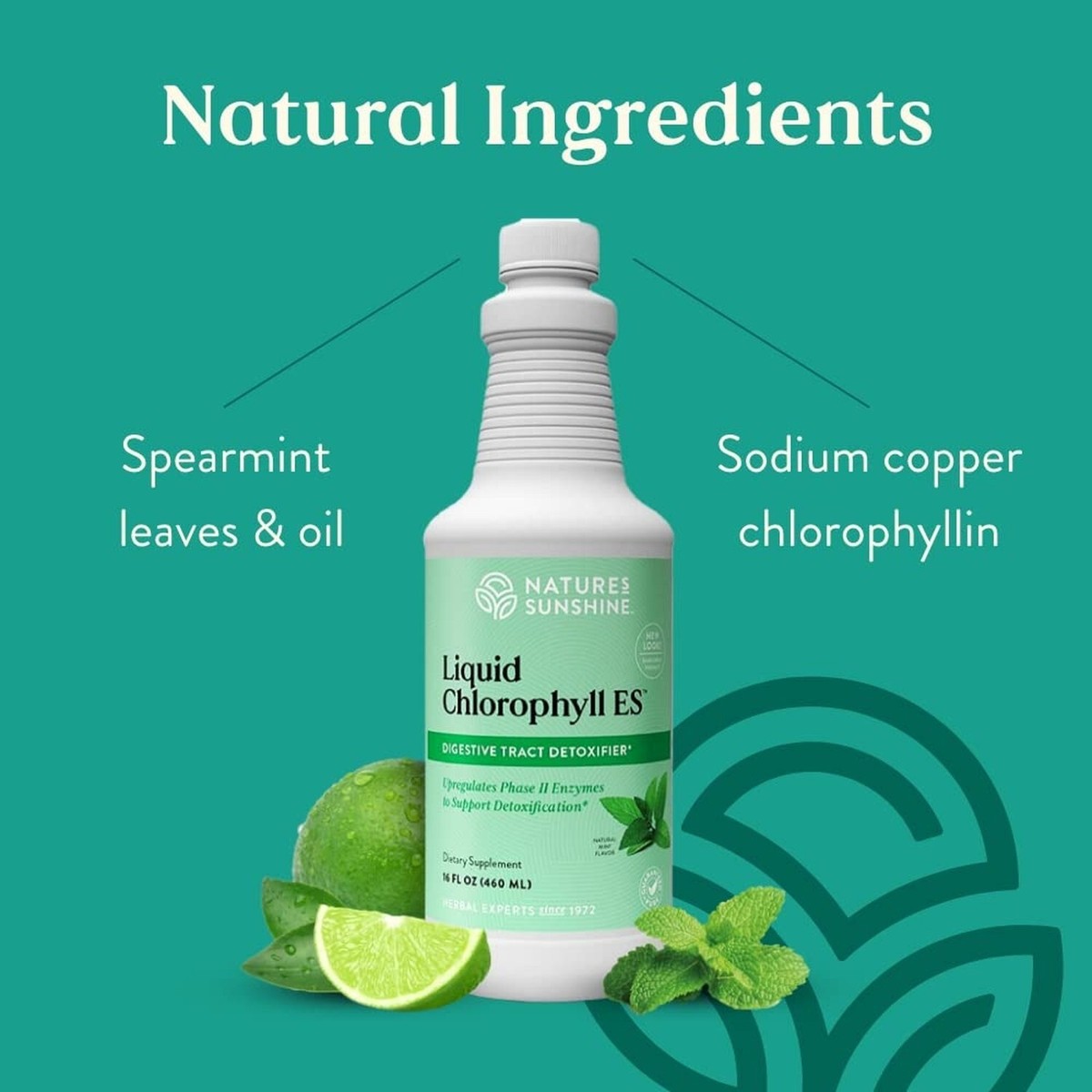 Nature's Sunshine Liquid Chlorophyll - Immunity Support