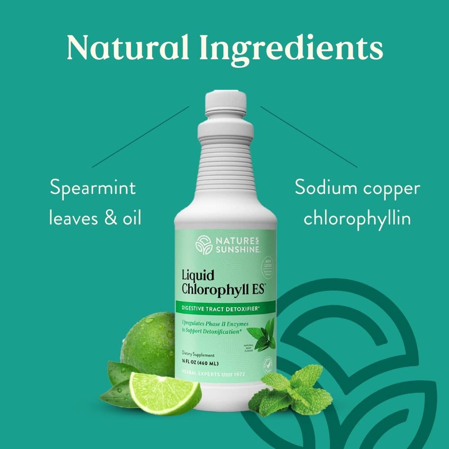Nature's Sunshine Liquid Chlorophyll Immunity Support, Detox