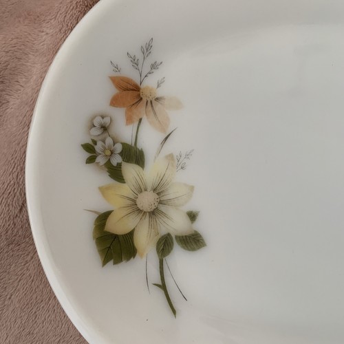 Two JAJ Pyrex Oval Serving Platter Dish Autumn Glory Pattern - Picture 10 of 18