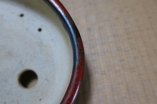 Echte japanische Bonsaischale "Terahata Satomi" - Bild 4 von 14