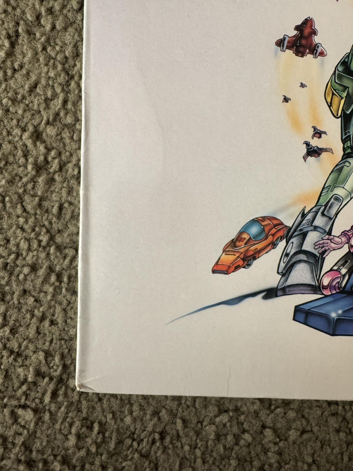 Picture 11 of 19