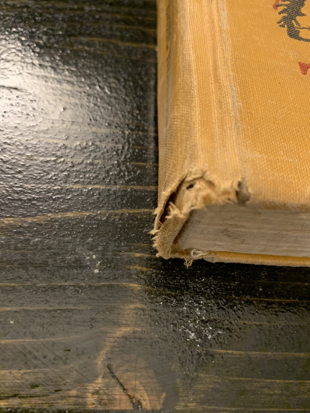 Picture 2 of 11