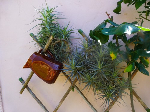 2mx2cmneu Vintage Zwischenlagen englische Stickerei zum Schieben von Rüschenbinden - Bild 7 von 24