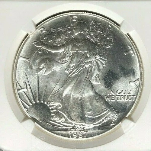 1987 AMERICAN SILVER EAGLE ~ NGC MINT ERROR MS 69 OBVERSE STRUCK THRU