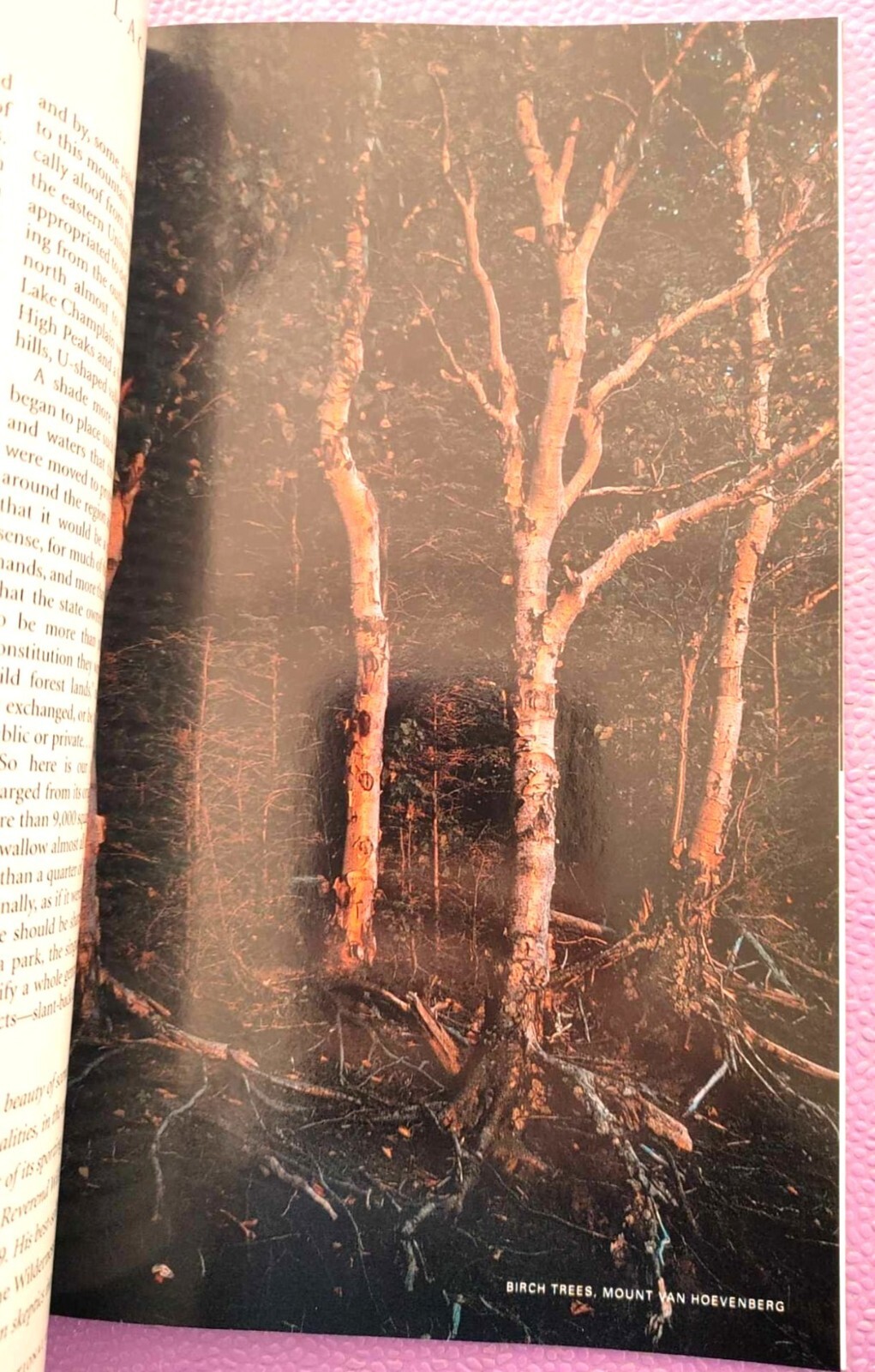 Picture 3 of 7