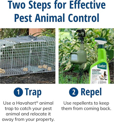 Humane Large 1-Door Animal Trap with Easy Set Technology for Diverse Wildlife - Picture 12 of 12