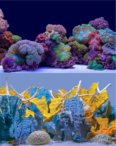 Aquarium Fish Tank Background Double Side Poster 24"(60cm)*3ft/4ft/5ft/6ft - Picture 49 of 51