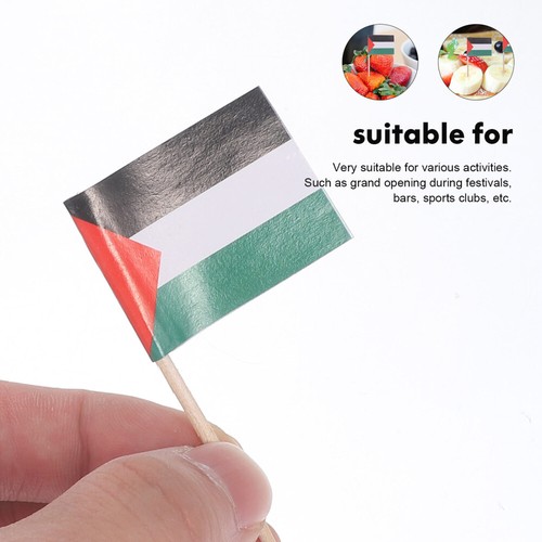 100pcs Palestine Flag Cake Pick Topper National Flag Toothpick Small Fruit - Picture 6 of 12